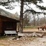 © Ferme équestre de la Clarée - Les crottins d'abord